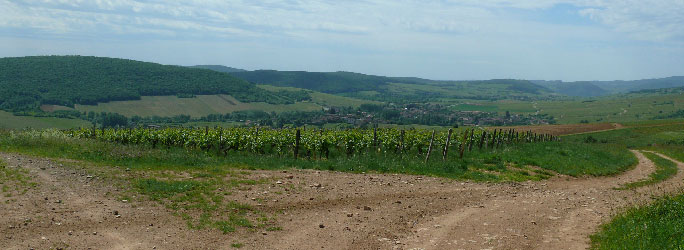 vue du Mâconnais